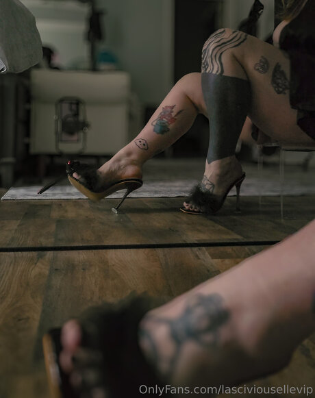 Lasciviousellevip star adult img