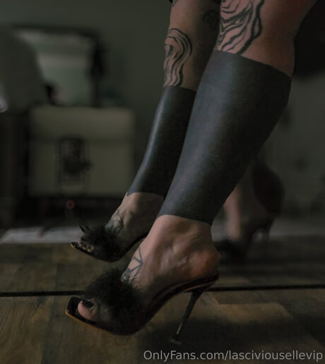 Lasciviousellevip hd pornstar img