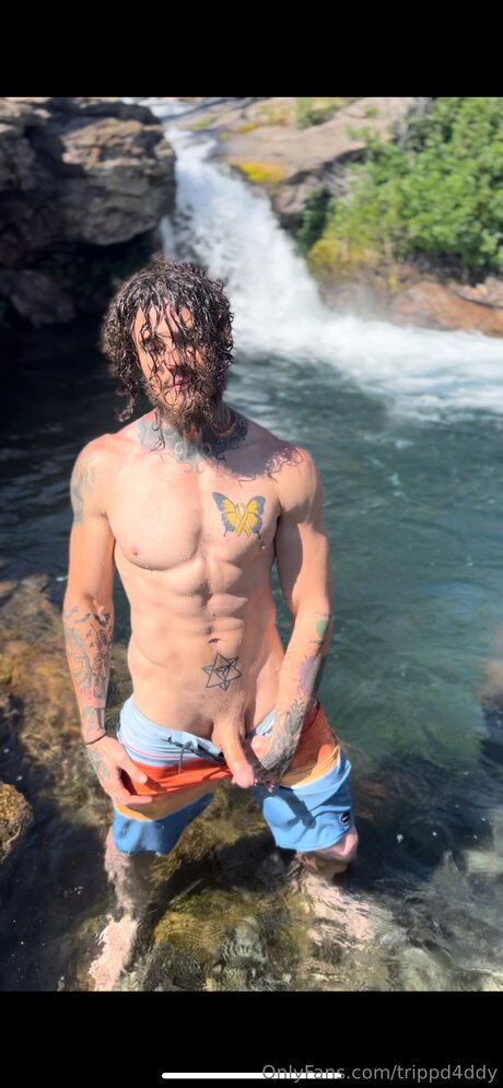 Trippd4ddy art star image