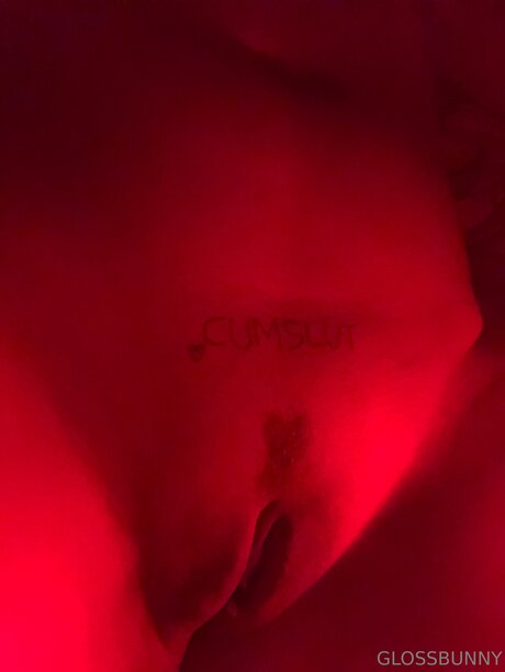 Glossbunny top model img