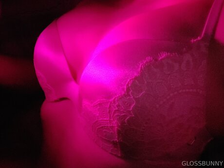 Glossbunny model pornographic archive