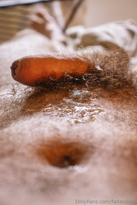 Fallandark model top galleries