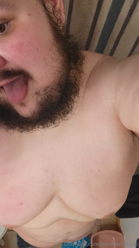 Bredlikerabbits star nice images