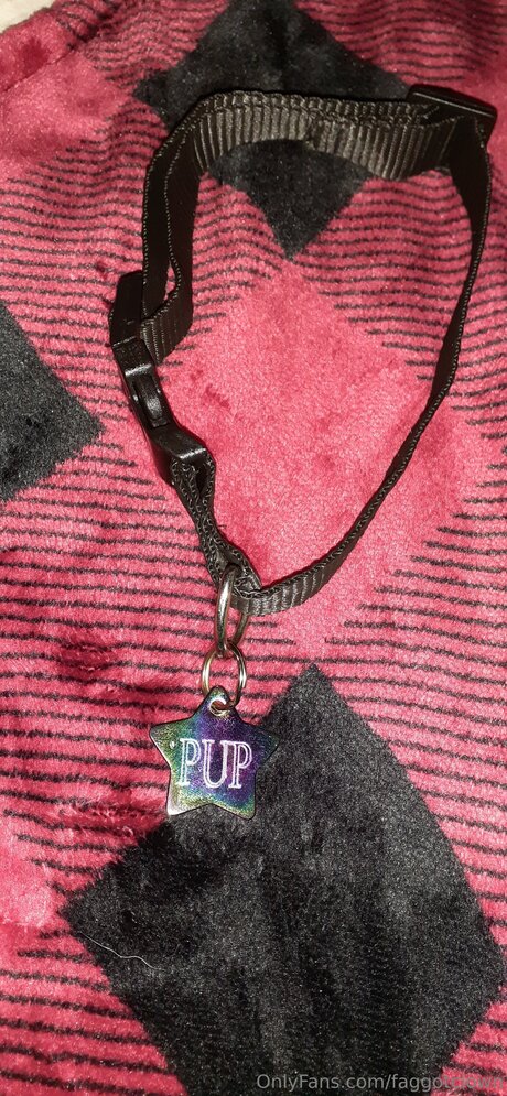 Faggotclown free pornstar photos