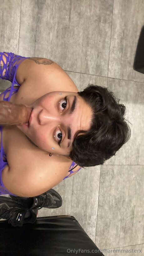 Haremmasterx Profile pic