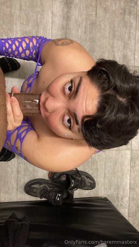 Haremmasterx exclusive pornstar pics