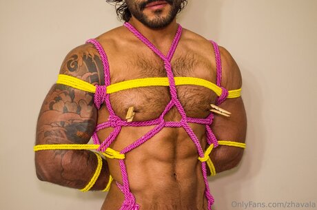 Zhavala sex pornstar img