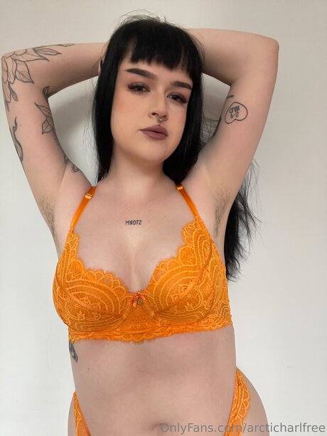 Otherarcticharl star sexy img