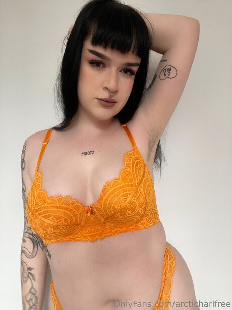 Otherarcticharl nudes pornstar archive