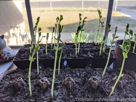 Esora Luvey Free model naked photos