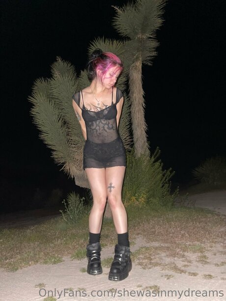 Shewasinmydreams star free archive