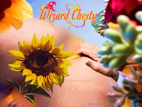 Wizardchesty model xxx gallery