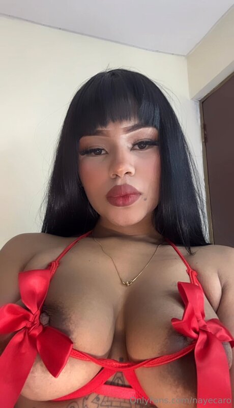 Nayecaro art star galleries