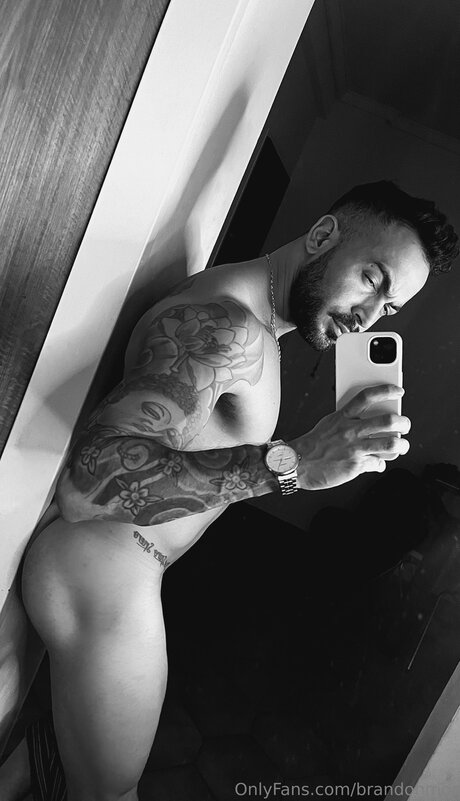 Brandonmor star hot archive