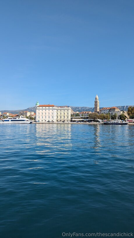 Thescandichick perfect star image