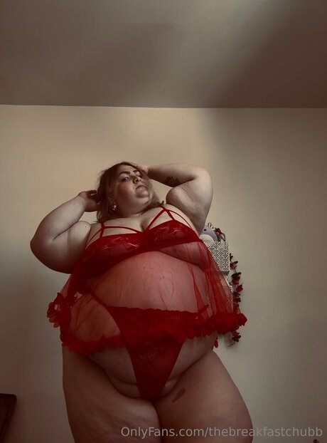 Thebreakfastchubb porn actress picture