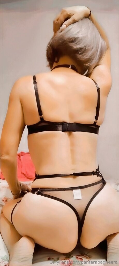 Panterabagheera star best gallery