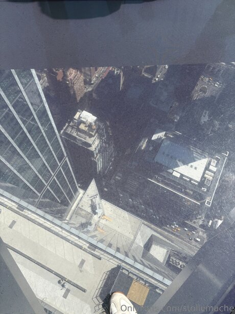 Stollemache exclusive model archive