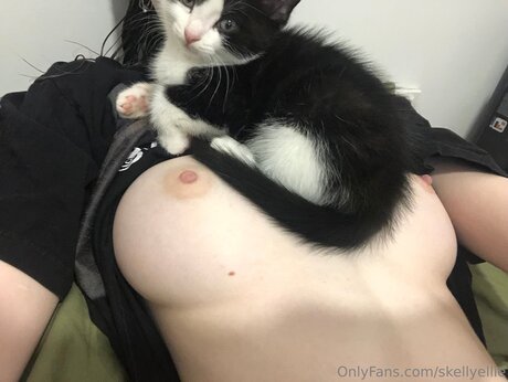 Skellyellie pornstar art img