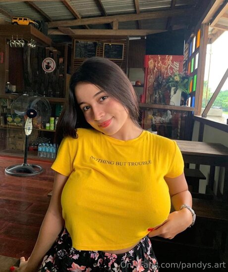 Pandys Art top actress pictures