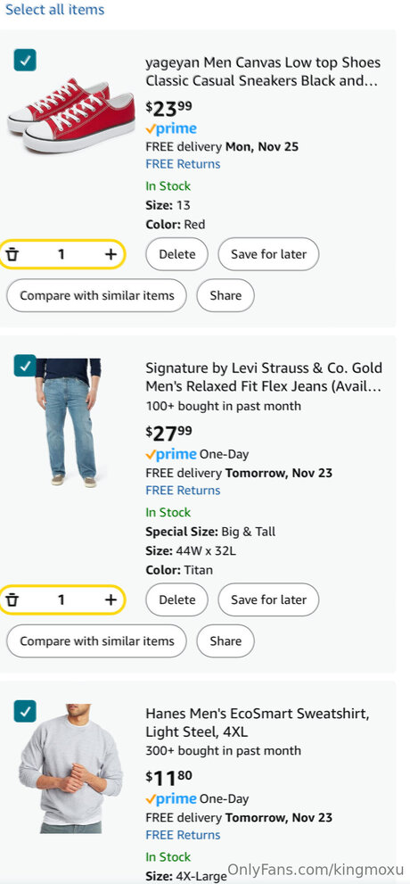 Kingmoxu nice model image