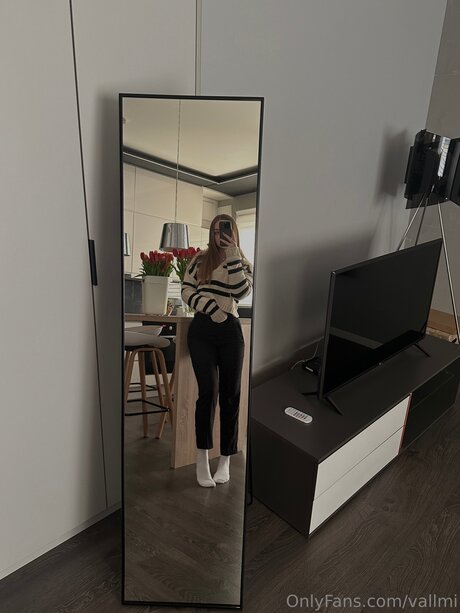 Vallmi best model image