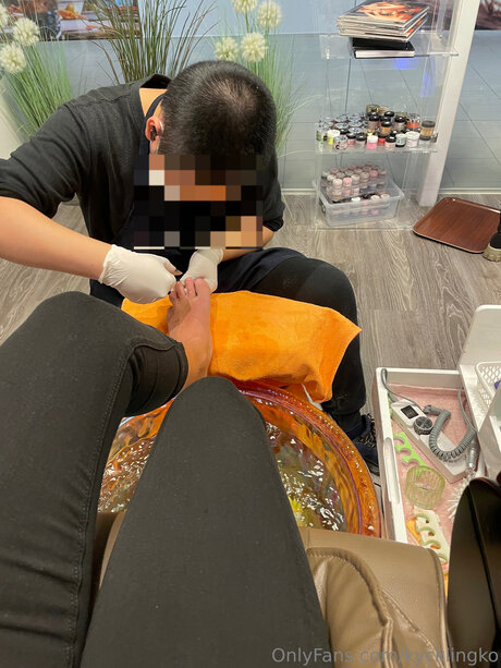 Kycklingko star free gallery