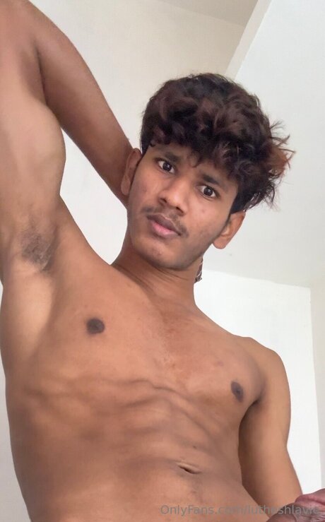 Lutheshlavie perfect star archive