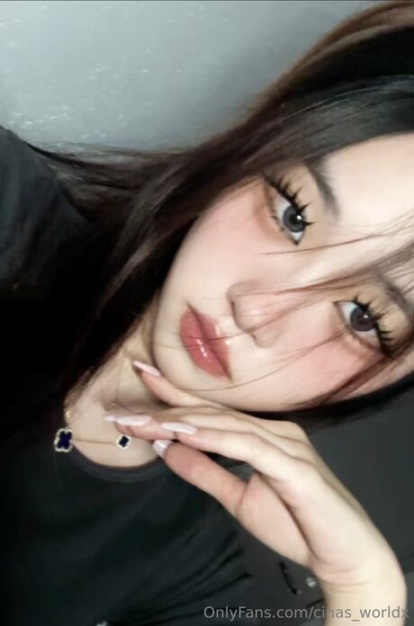 Cinas Worldx model art picture