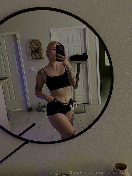 Harlee Haze star perfect picture