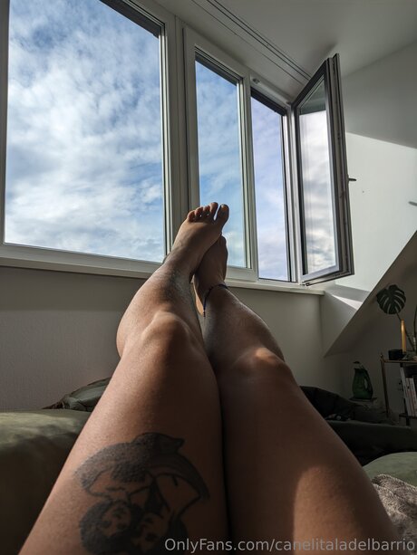 Canelitaladelbarrio hot pornstar archive