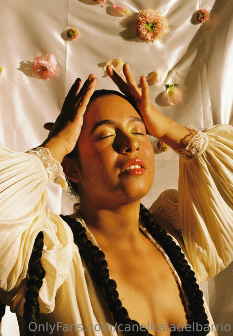 Canelitaladelbarrio pornstar sexy galleries