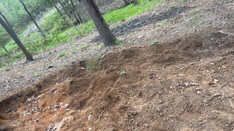 Xxgoldilocksxx perfect model images