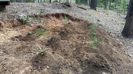 Xxgoldilocksxx exclusive actress galleries