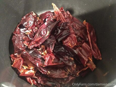 Damiendane model xxx images