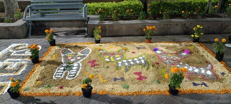 Alexrasec beautiful model image