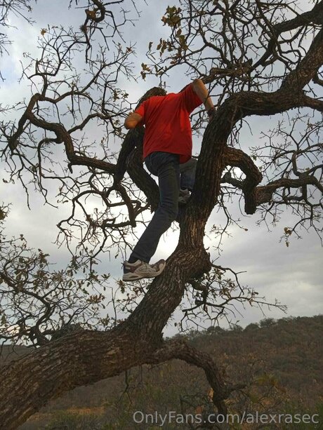 Alexrasec sexy actress galleries