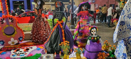 Alexrasec star pornographic galleries