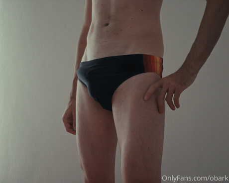 Obark model hd archive