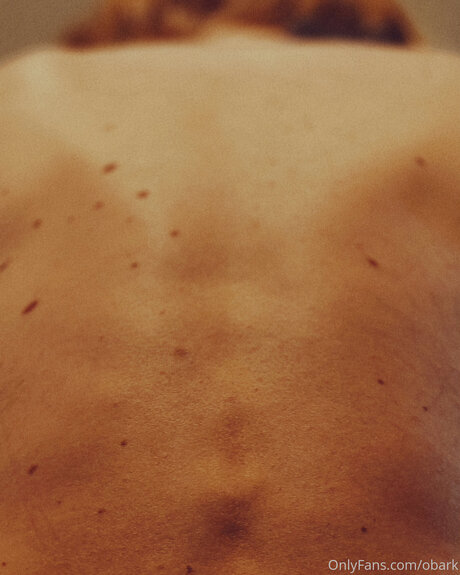 Obark perfect star archive