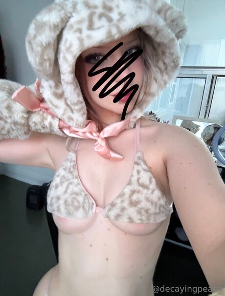 Decayingpeach pornstar best picture
