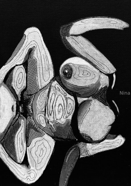 U464958276 nice model photos