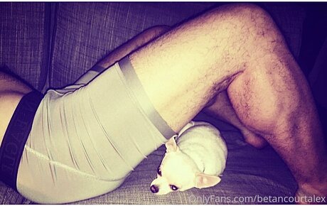 Thegreatalex star porn archive