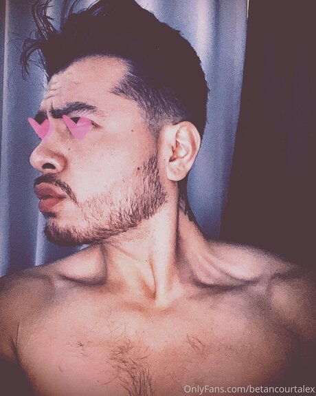 Thegreatalex beautiful pornstar images