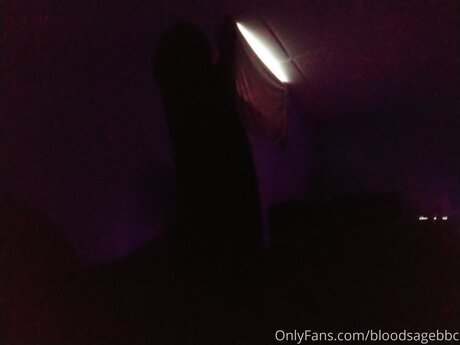 Bloodsagebbc porn star pics