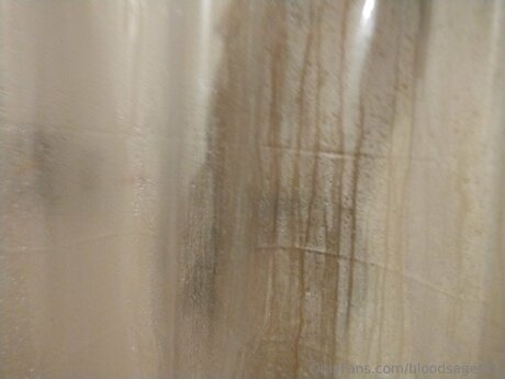 Bloodsagebbc perfect pornstar gallery