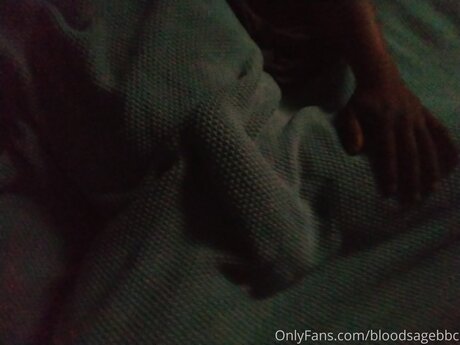 Bloodsagebbc pornstar beautiful picture