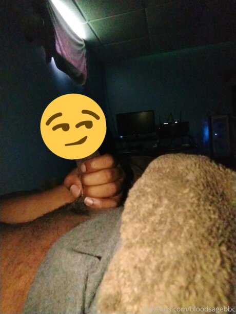 Bloodsagebbc model exclusive img