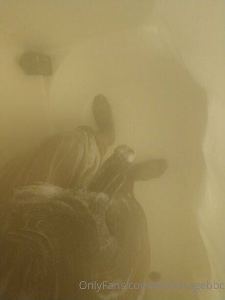 Bloodsagebbc erotic pornstar images