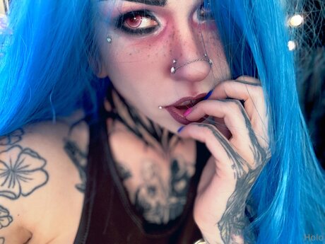 Rule34shark star nice picture